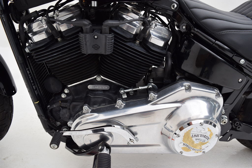 Softail® Standard