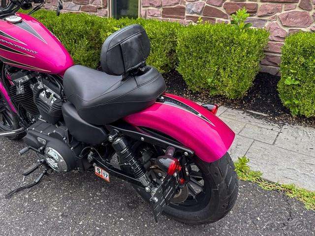 Sportster® Iron 883®