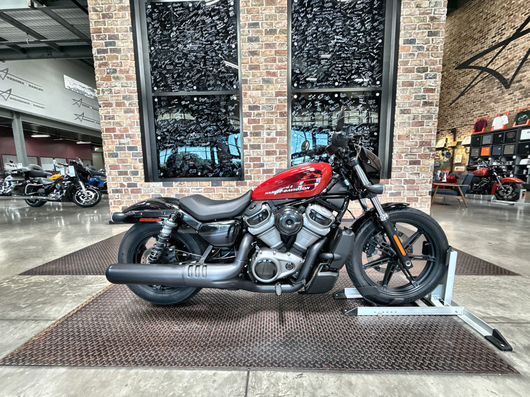 Nightster