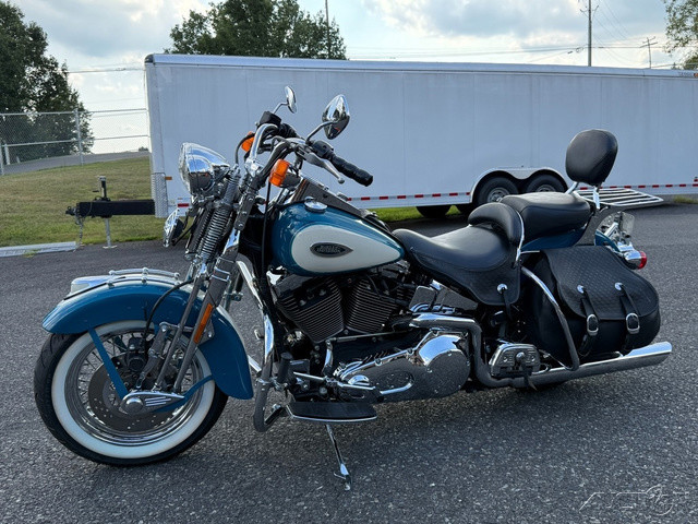Springer® Softail®
