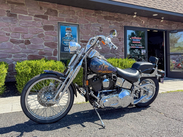Springer® Softail®