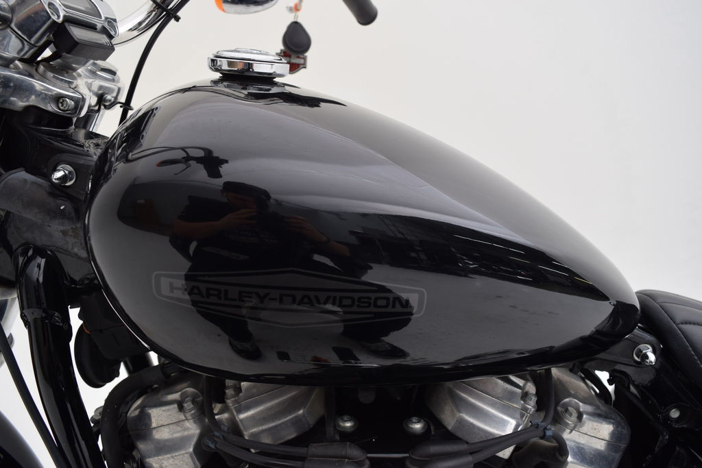 Softail® Standard