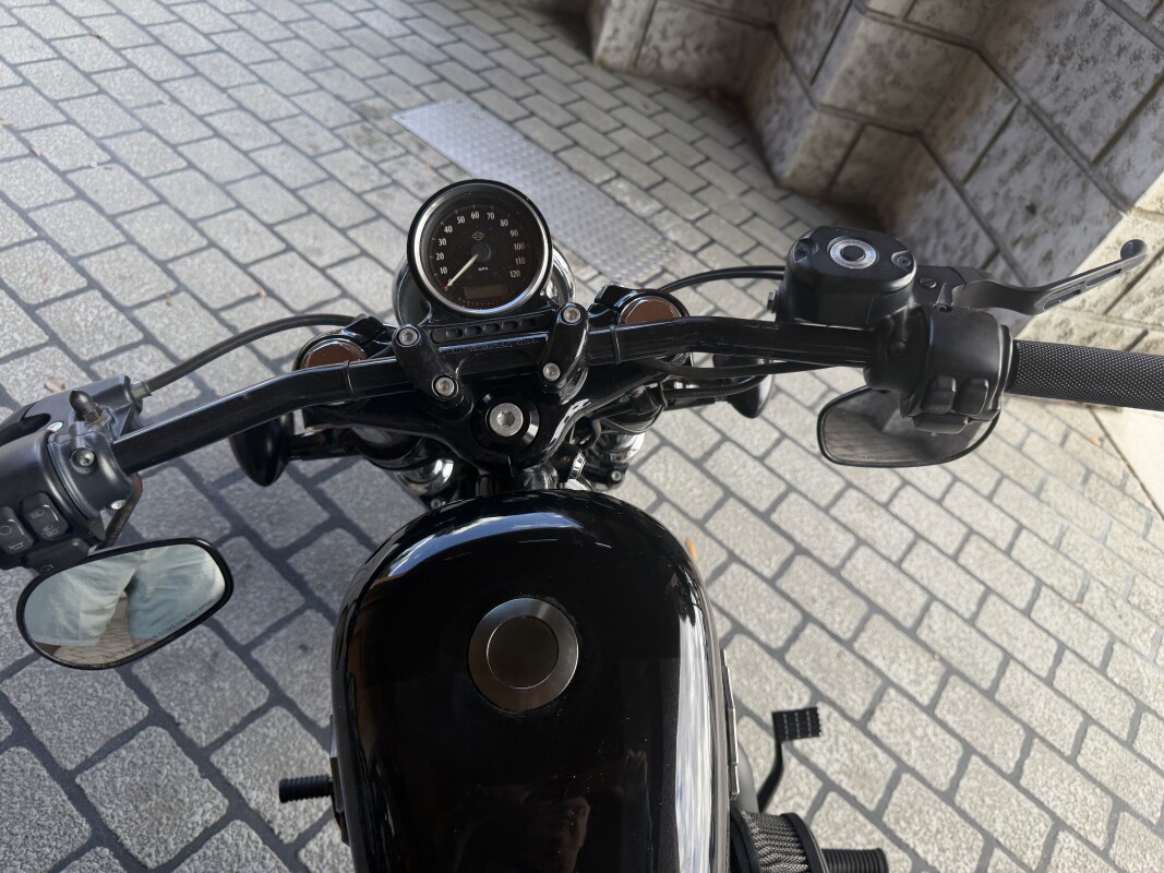 Sportster® Forty-Eight®