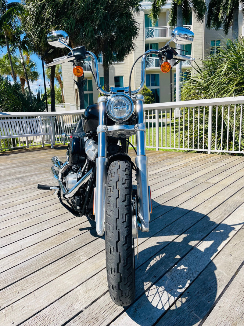 Softail® Standard