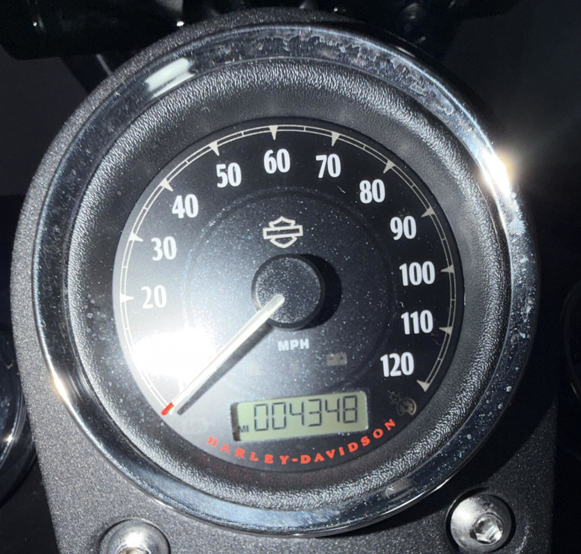 Dyna® Street Bob®