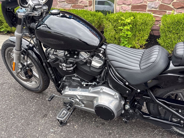 Softail® Standard