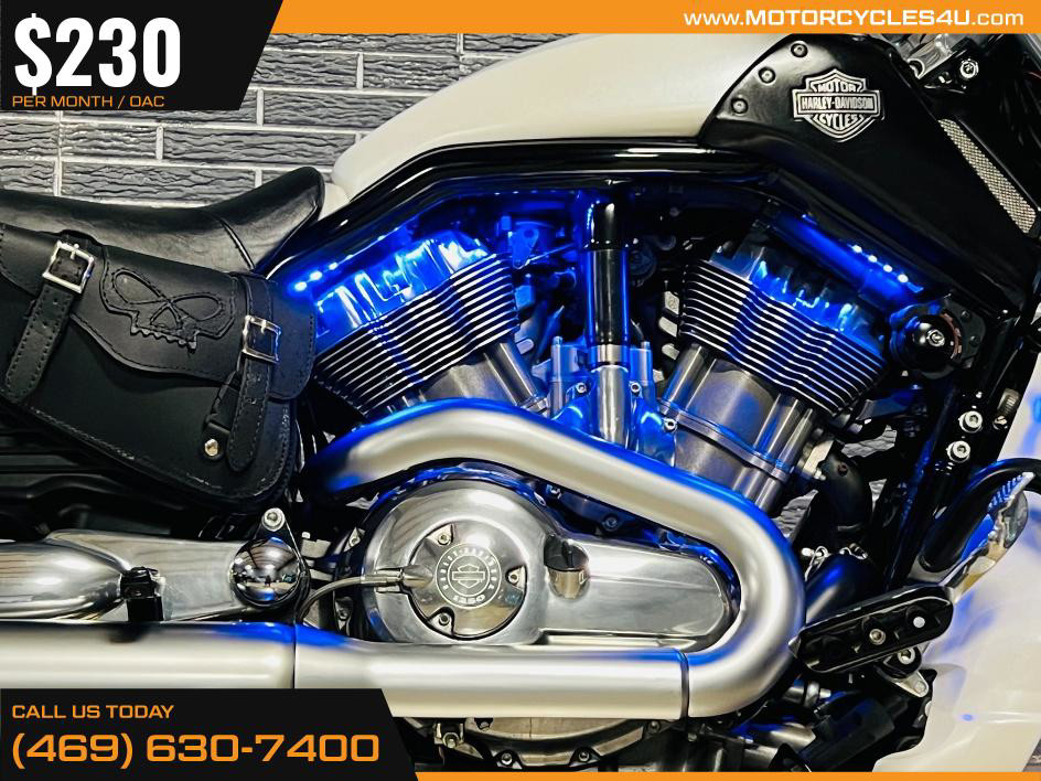 V-Rod® Muscle