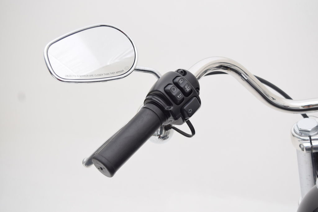 Softail® Low Rider®