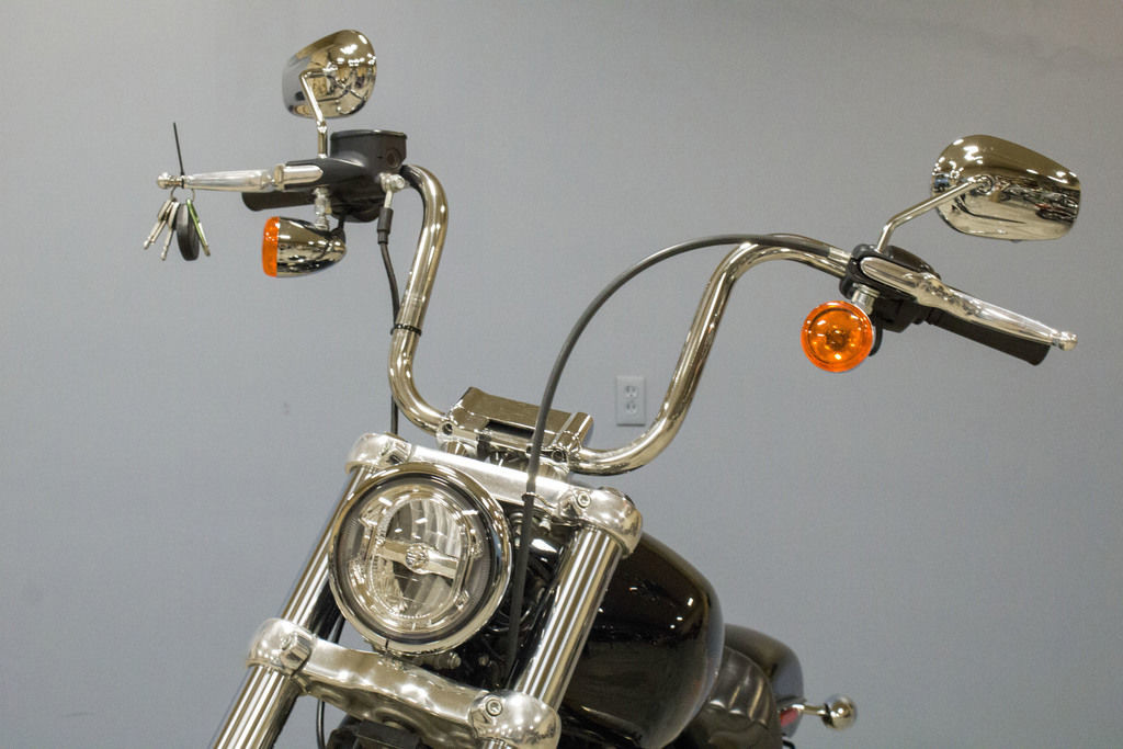 Softail® Standard