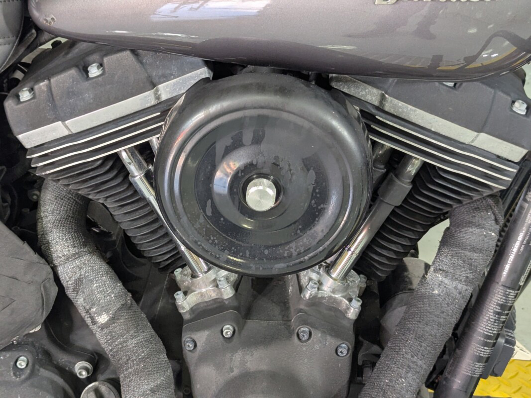 Dyna® Street Bob®