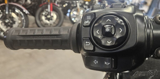 Road Glide® Limited