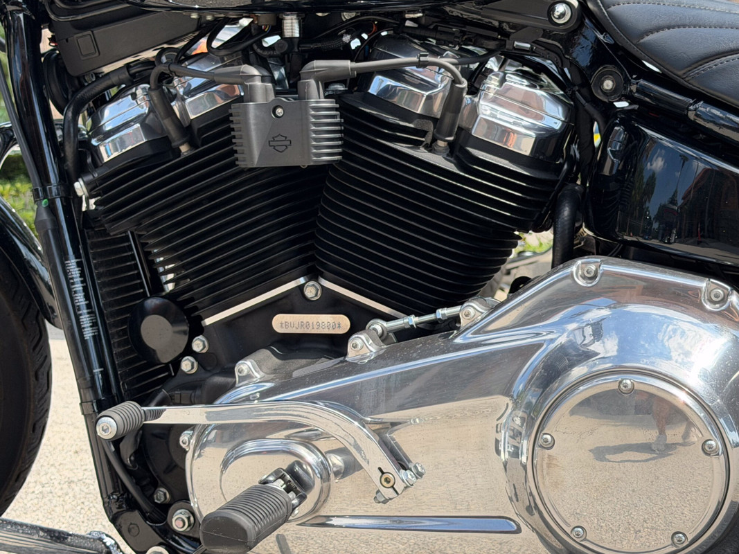Softail® Standard