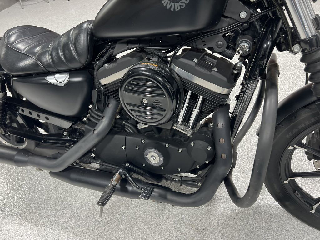 Iron 883®
