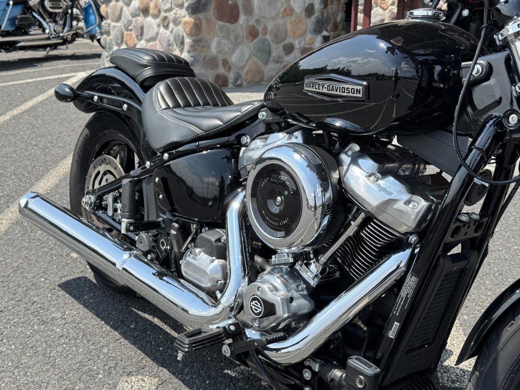 Street Bob®