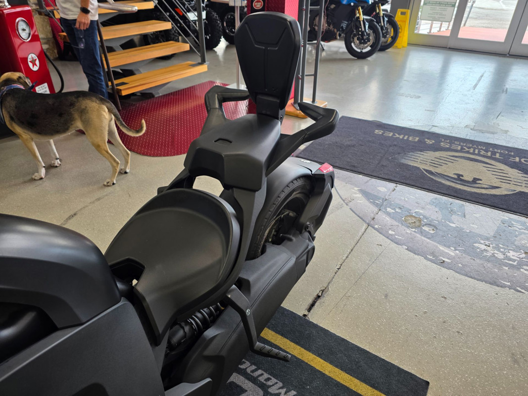 Ryker 600 ACE®