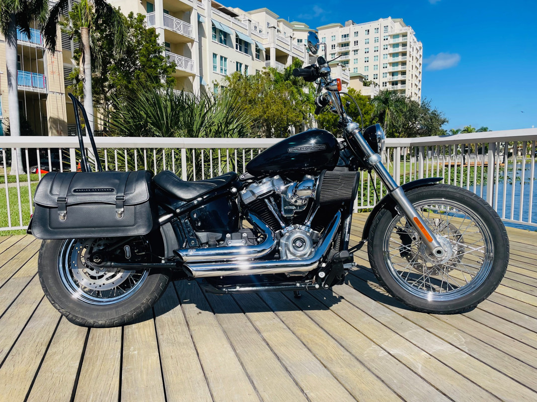 Softail® Standard