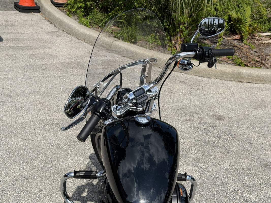 Softail® Standard
