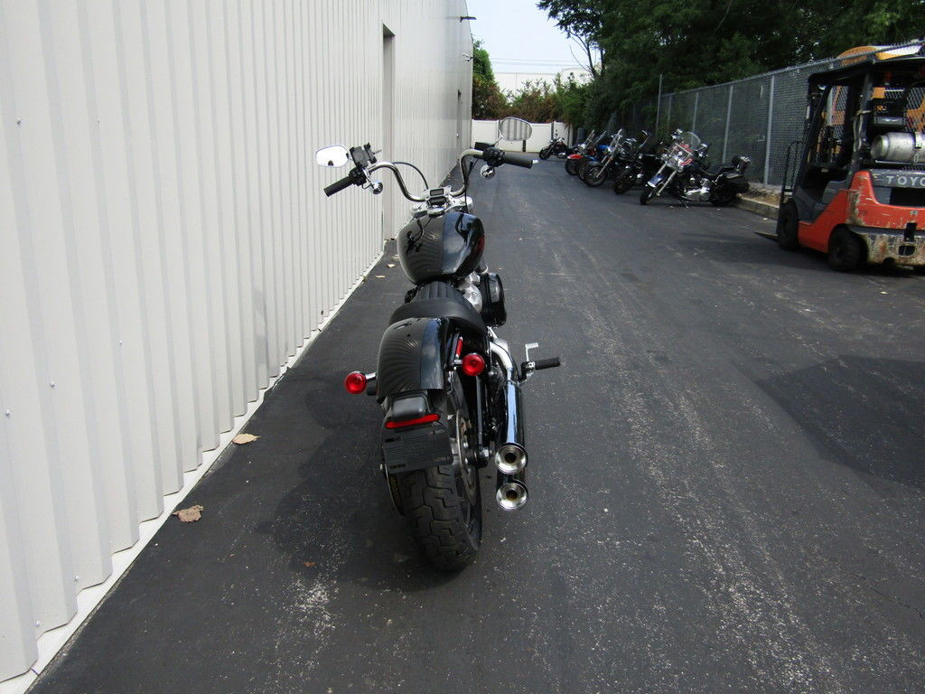Softail® Standard
