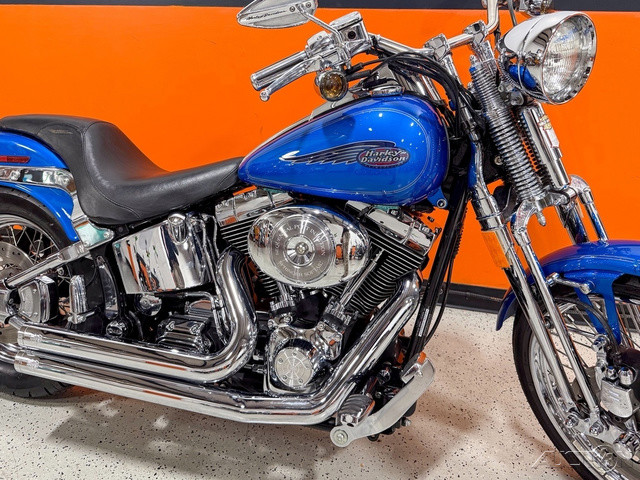 Springer® Softail®