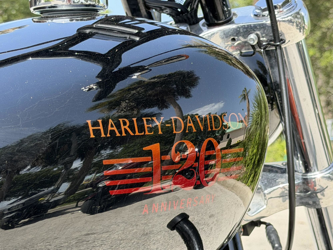 Softail® Standard