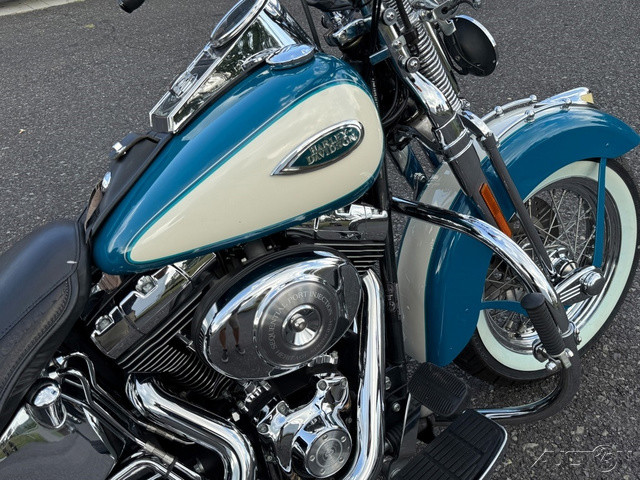 Springer® Softail®
