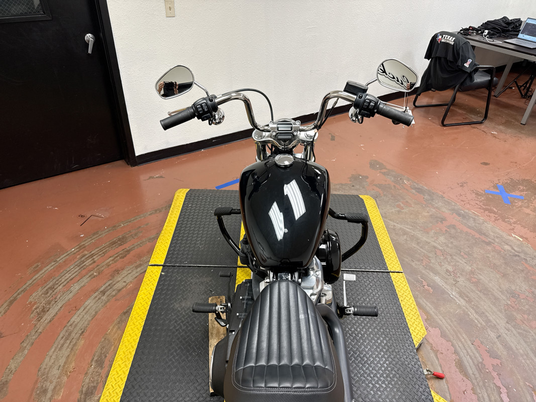 Softail® Standard