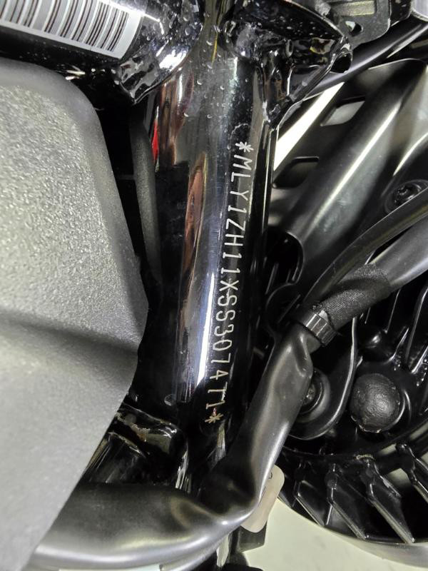 Nightster