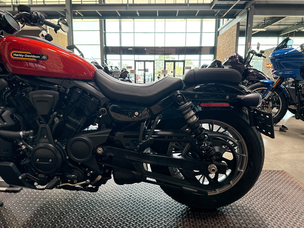 Nightster Special