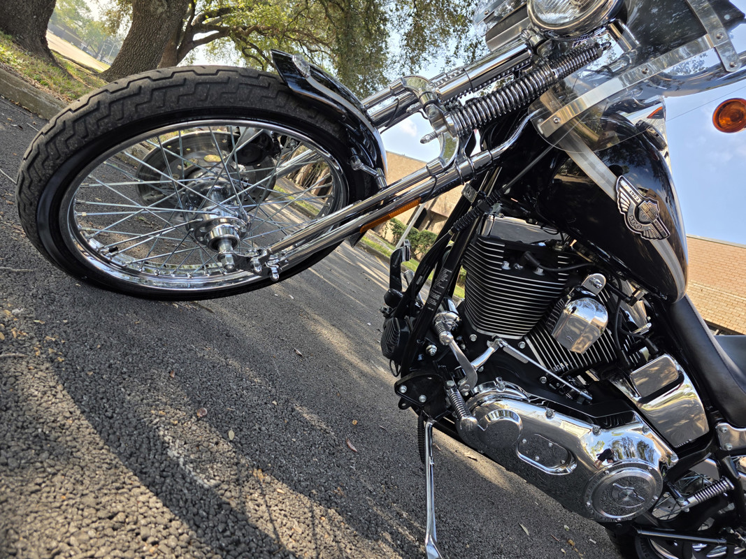 Springer® Softail® Anniversary