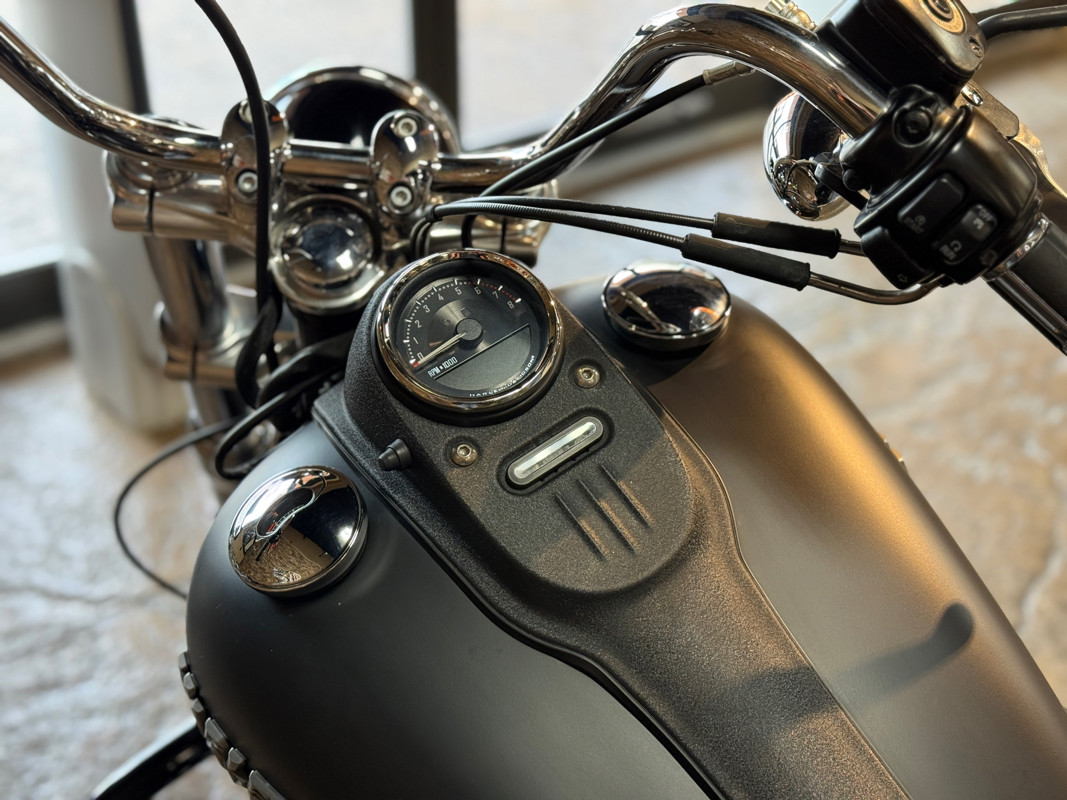 Dyna® Street Bob®
