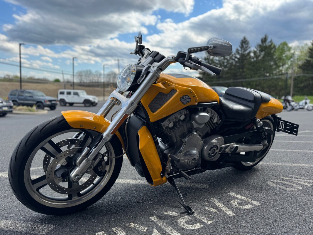 V-Rod® Muscle®