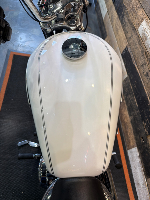 Sportster® 1200 Low