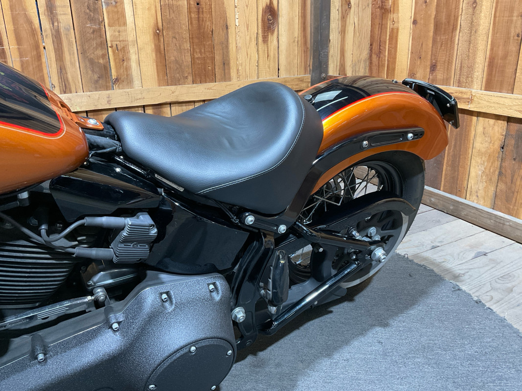 Softail® Slim®