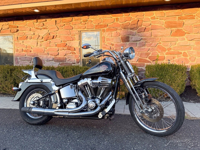 Springer® Softail®