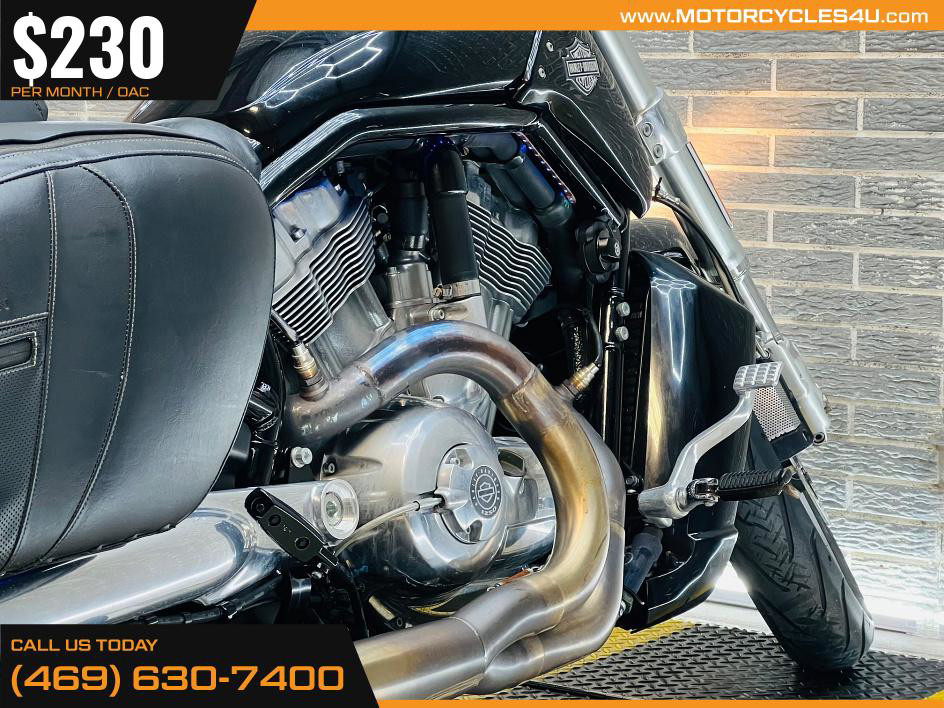 V-Rod Muscle®