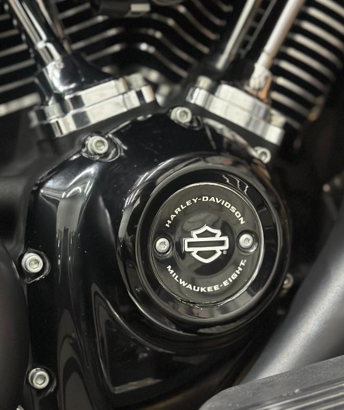Street Glide® Special