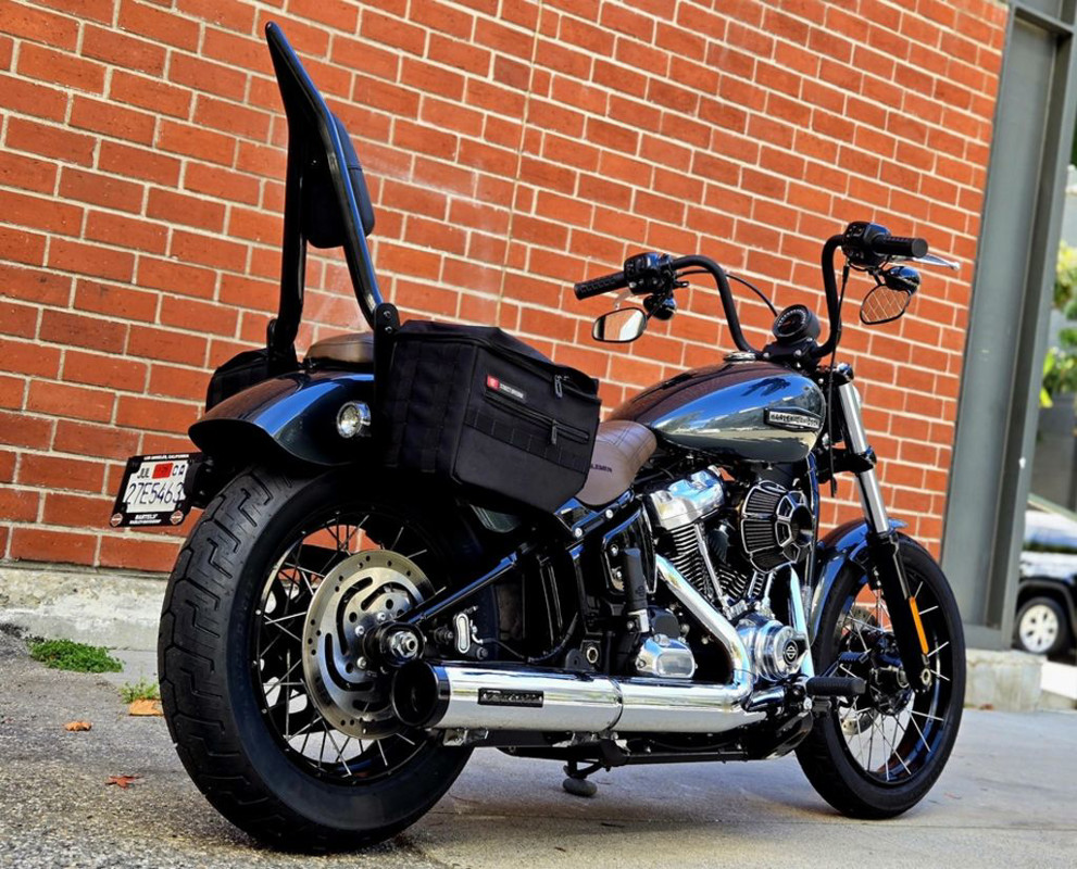 Street Bob®