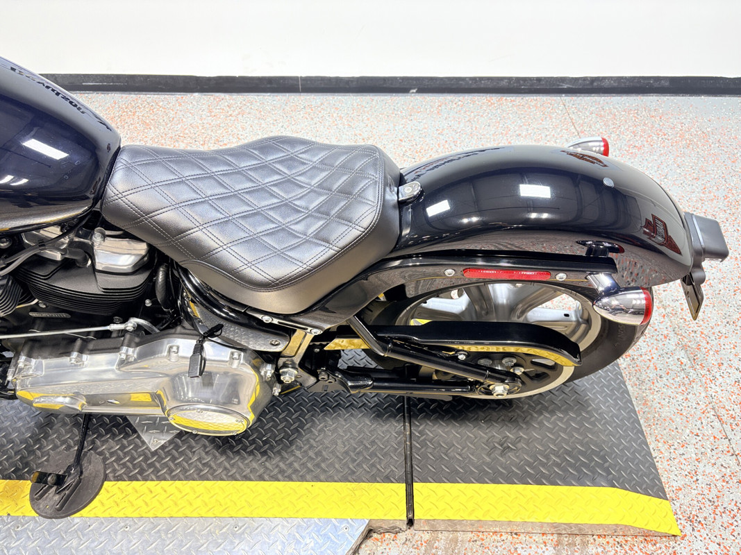 Softail® Standard