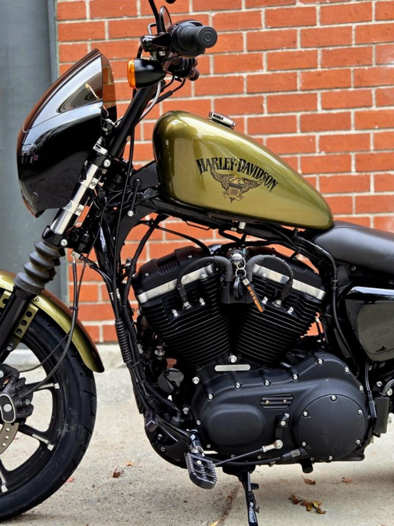 Sportster® Iron 883®