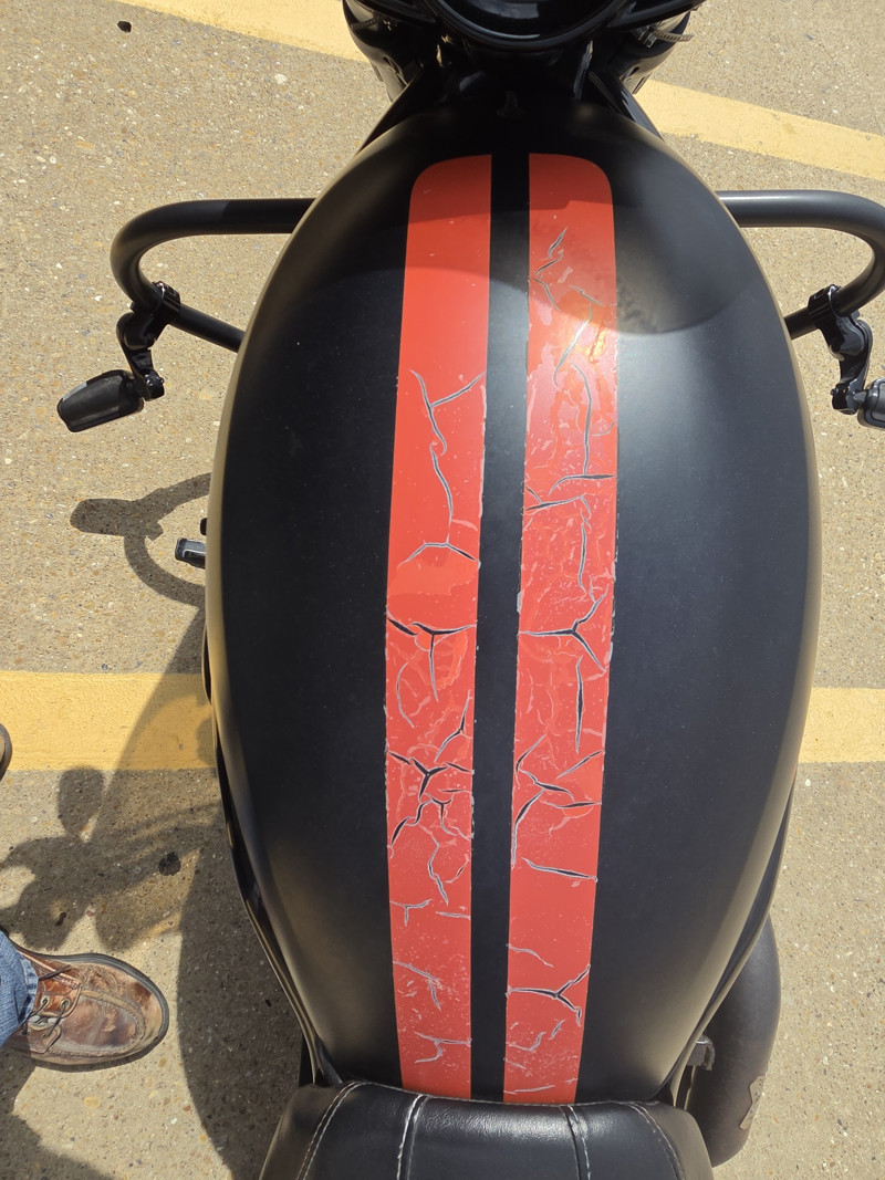 V-Rod® Night Rod® Special