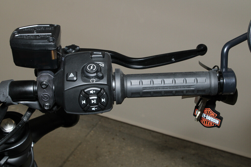 Sportster® S