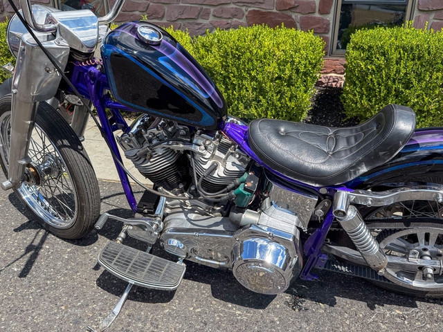 Electra Glide® Police