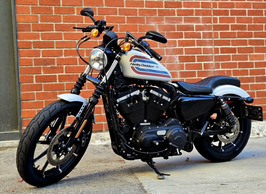 Sportster® Iron 883®