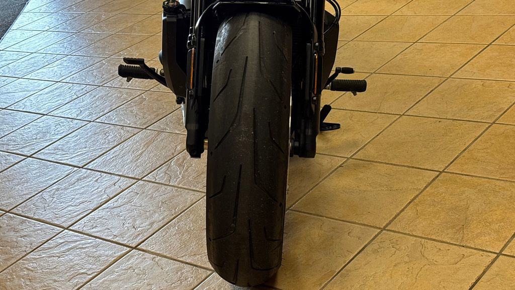 Sportster® S