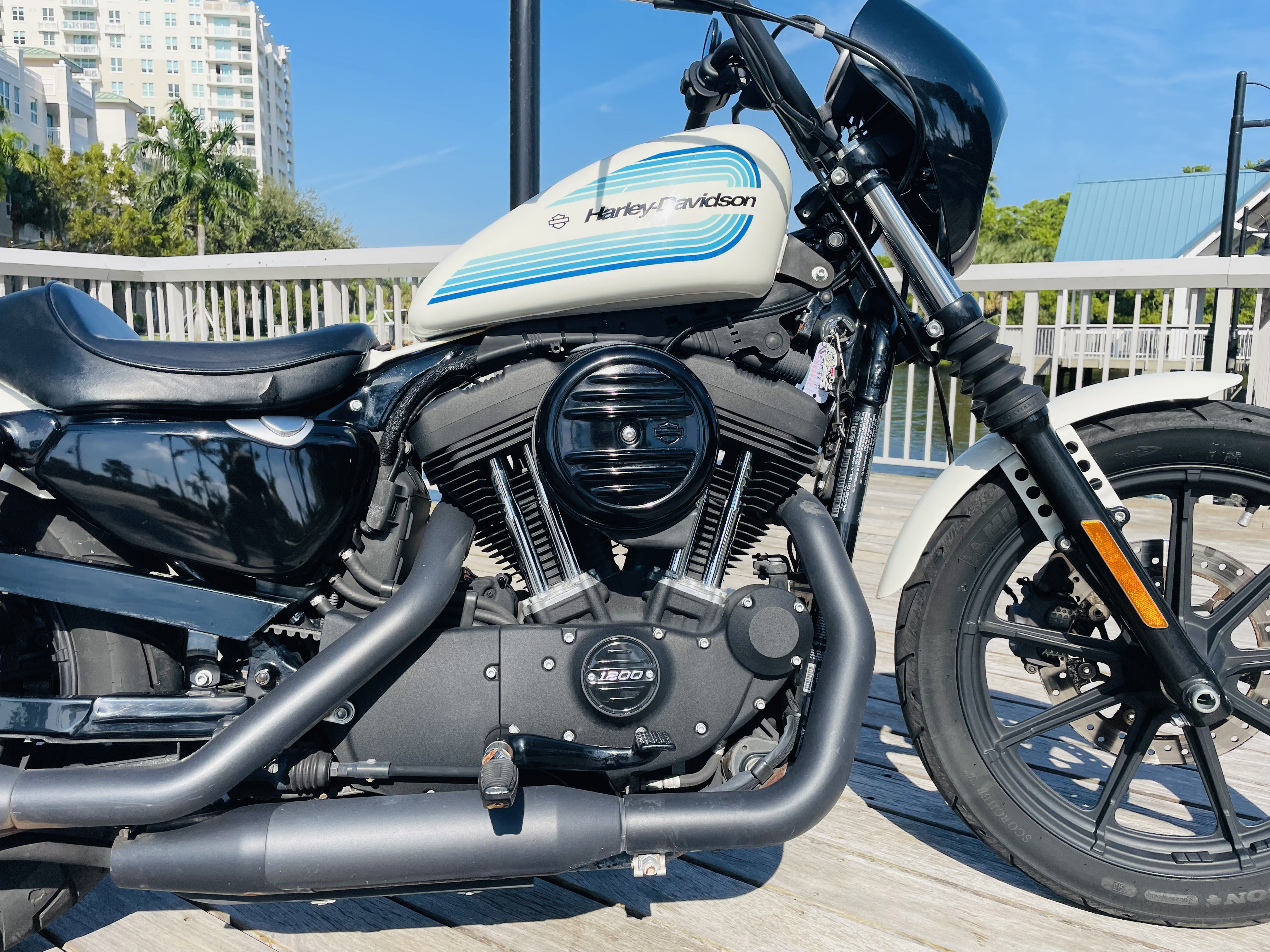 2019-harley-davidson-xl1200ns-iron-1200-for-sale-in-boynton-beach-fl