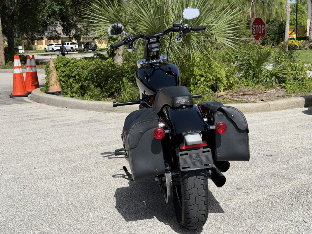 Softail® Standard