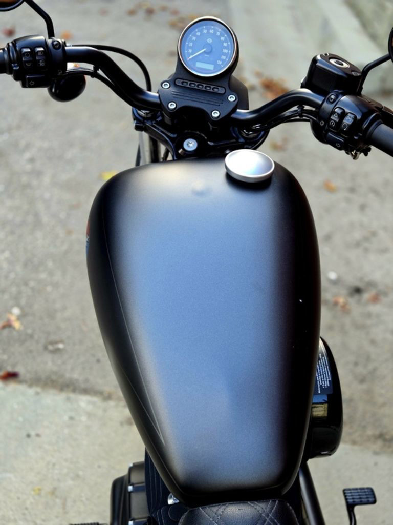 Sportster® Iron 883®
