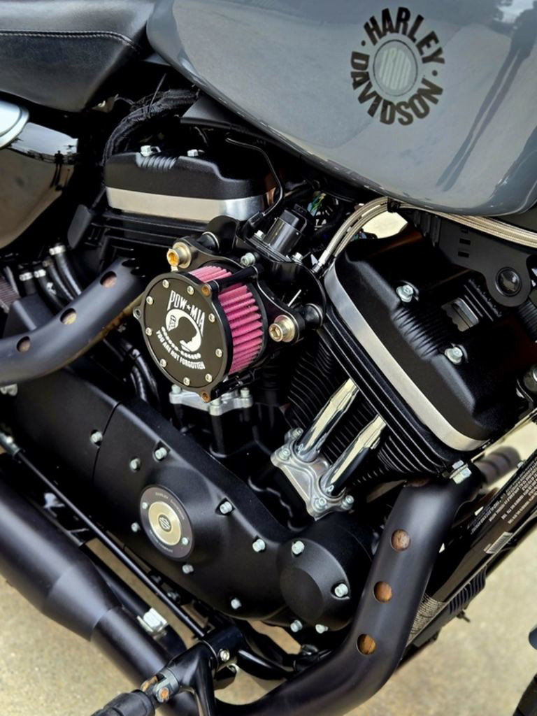 Iron 883®