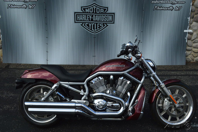 V-Rod®