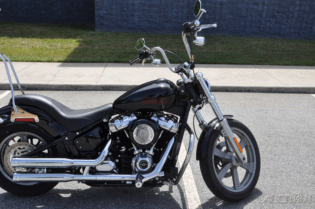 Softail® Standard